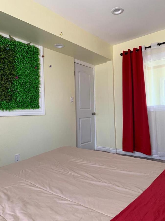 Lax Guest House Inglewood Eksteriør billede